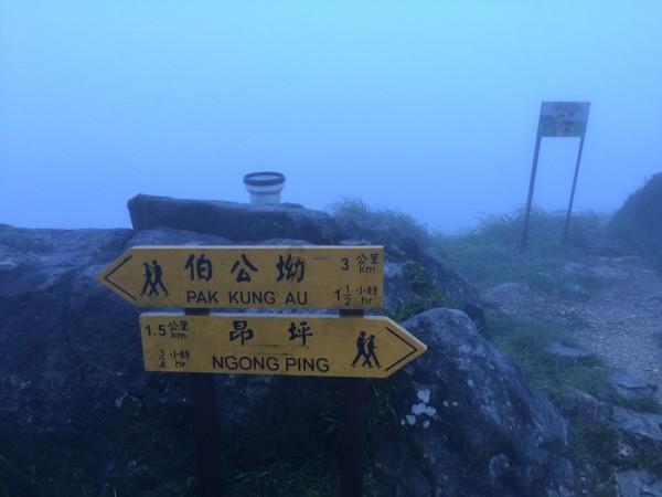 儿童画板涂色