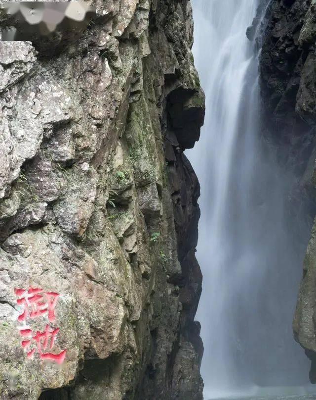 主帅：本纳塞尔、本塞拜尼受伤，无缘阿尔及利亚小组赛收官战