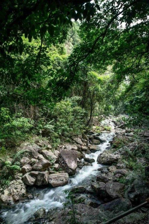 淮南平圩淮河大桥因交通事故造成临时交通中断
