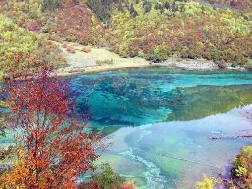 众星登上新闻联播，李雪健黄渤坐前排地位高，易烊千玺镜头火上热搜
